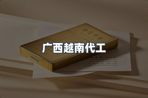 广西越南代工